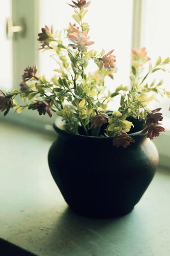 a black vase with flowers in it sitting on a table at Hotell Visby Börs in Visby