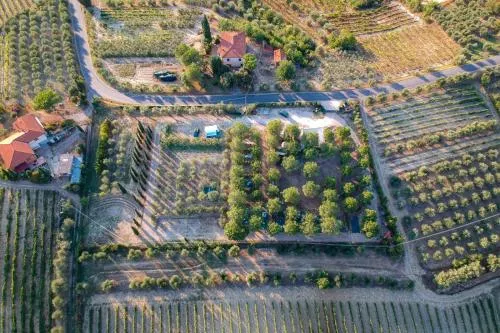 AGRICAMPING POGGIO AI PINI photo