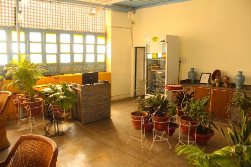 a room filled with lots of potted plants at Moustache Jodhpur in Jodhpur