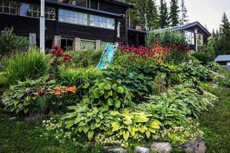 a garden of flowers in front of a house at Ønskedrømmen hytteutleie in Brandbu