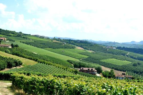 a view of a vineyard in the hills at Villa Bellavista Alba, B&B in Alba