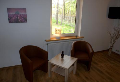 Koluszki的住宿－Kozi Lasek，窗户客房内的两把椅子和一张桌子