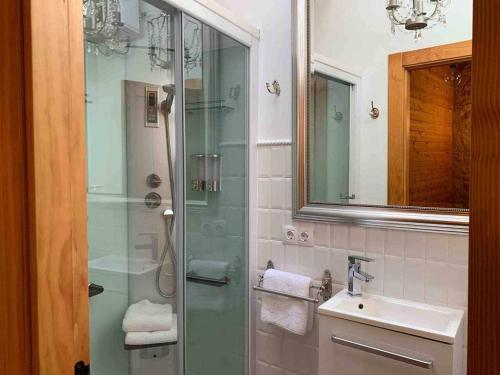 a bathroom with a shower and a sink at Casa Rural El Pajarcillo in Moriana