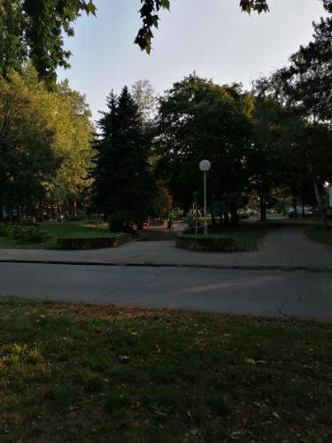 eine Straße in einem Park mit Bäumen und einer Straßenlaterne in der Unterkunft Apartman KIKA in Sombor