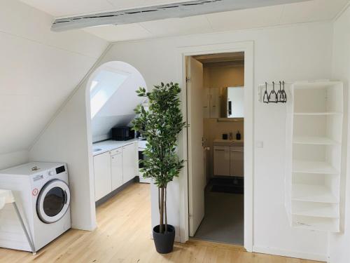 TV a/nebo společenská místnost v ubytování aday - Reberbansgade Apartment Suite