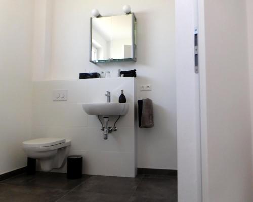 a bathroom with a toilet and a mirror at Scherer Living in Engabrunn