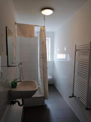 a bathroom with a sink and a shower and a toilet at Apartment AMS in Oststeinbek
