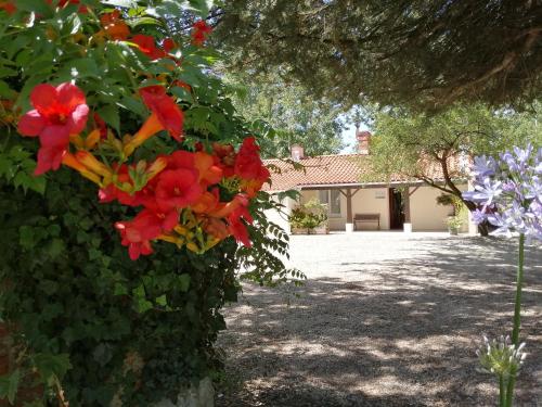 Camping La Loire Fleurie – Photos 5