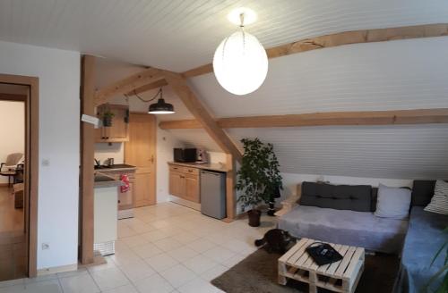 un salon avec un canapé et une cuisine dans l'établissement Appartement douillet avec vue sur les montagnes, à Fouchy