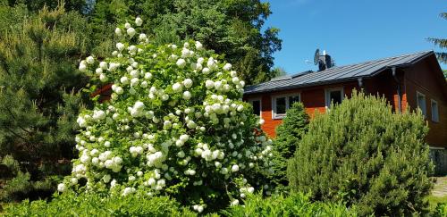 Taman di luar Chata SPOLUNAKOLE - Český ráj