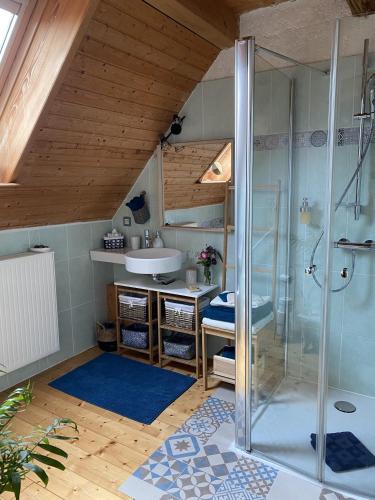 une salle de bain avec douche et lavabo dans l'établissement Le Nid de Cigognes, à Hengwiller