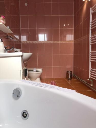 a bathroom with a bath tub and a toilet at Casa B&D Residence in Deva