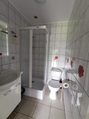 a bathroom with a shower and a toilet and a sink at Domek u Cioci Meli in Brodnica Dolna