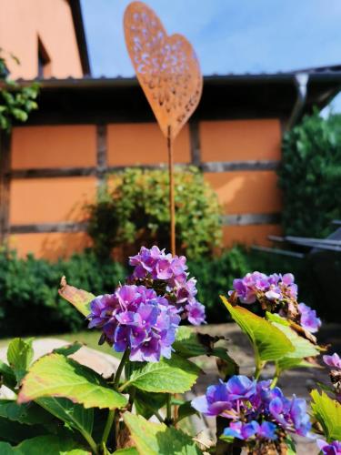 a butterfly sitting on top of purple flowers at Dorfidyll Wendisch Priborn in Wendisch Priborn
