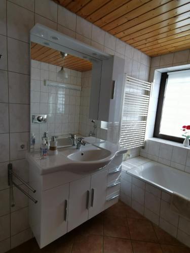 a bathroom with a sink and a tub and a mirror at Dorfidyll Wendisch Priborn in Wendisch Priborn