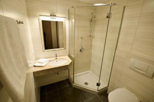 a bathroom with a shower and a sink and a toilet at Karlingerhof in Achenkirch