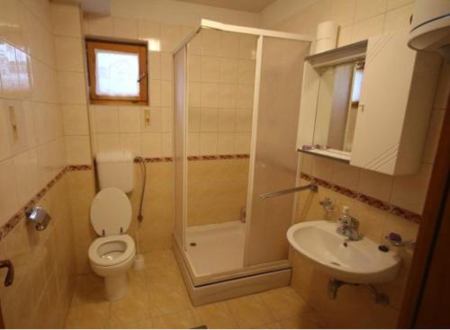 a bathroom with a toilet and a shower and a sink at Vlašićki Konak in Vlasic