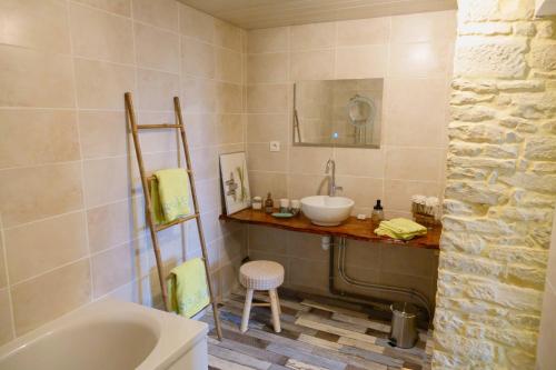 Saint-Hilaire-la-Palud的住宿－AU COEUR DU MARAIS，一间带水槽、卫生间和镜子的浴室