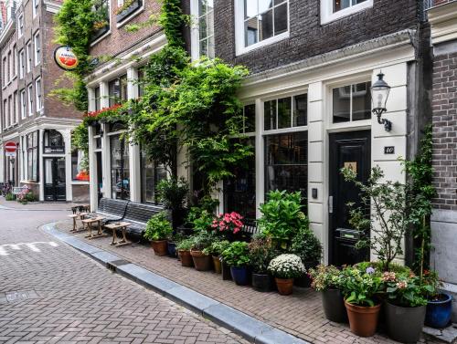 una fila de plantas en macetas en una calle en The Blossom House Amsterdam en Ámsterdam