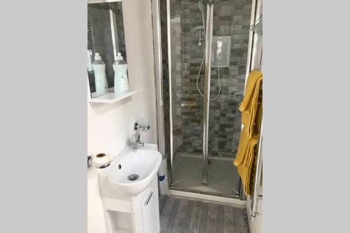 a bathroom with a shower and a toilet and a sink at Tigh Noor - Escape to Kinvara by the sea! in Galway