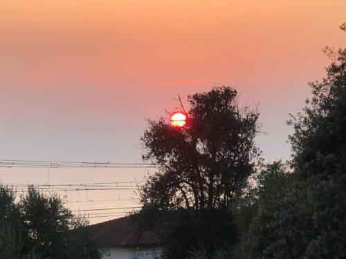 Φυσικό τοπίο κοντά σε αυτός ο ξενώνας