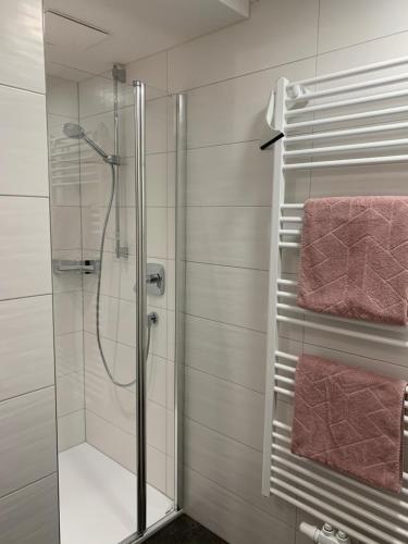 a bathroom with a glass shower with pink towels at Haus Bergwelt-inklusiv Super Sommer Card in Serfaus
