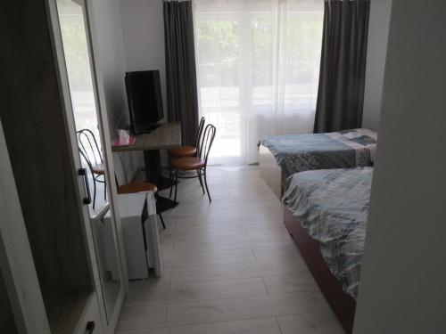 a room with two beds and a desk with a television at Pensiunea Cetina in Brad