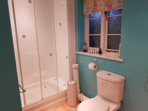 uma casa de banho com um WC e um chuveiro em Igguldene Retreat with Jacuzzi em Deal