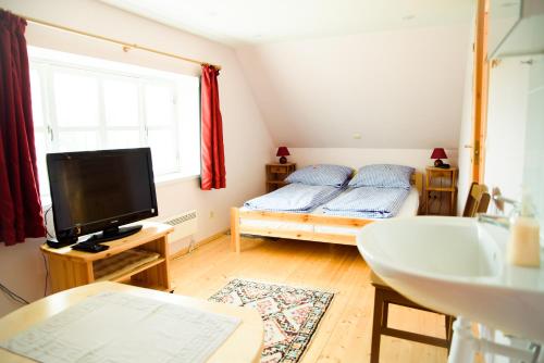 Habitación pequeña con cama y TV. en Kalda Talu, en Tõlliste