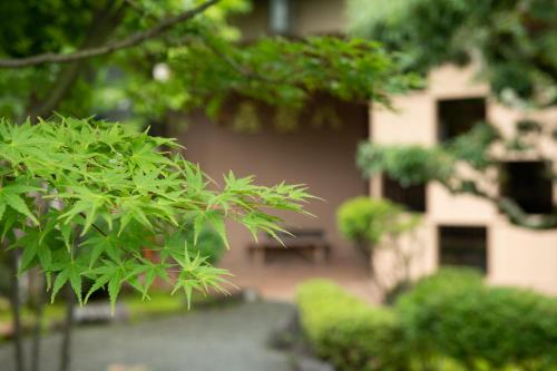 Taman di luar Awazuonsen Kitahachi
