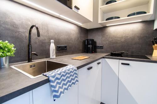 eine Küche mit weißen Schränken und einem Waschbecken in der Unterkunft Apartment Landgutgasse in Wien