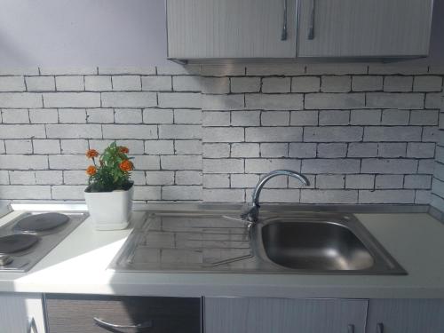 a kitchen counter with a sink and a potted plant at Apartamente-Danaj Radhime in Vlorë