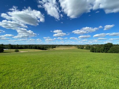 Unique Tiny House getaway in the nature - Kenshó