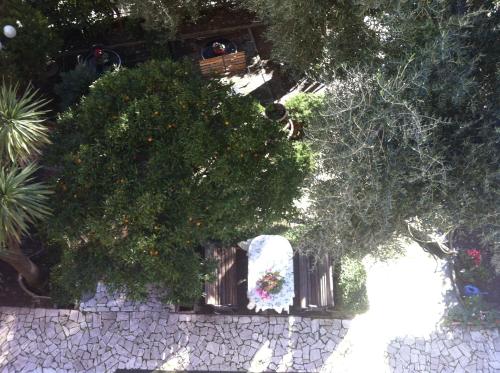 a garden with a fence and trees and plants at Hotel Villa Gloria in Varazze