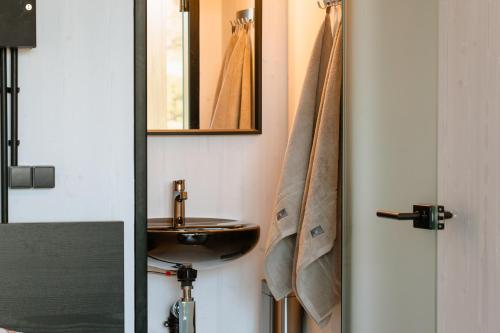 W łazience znajduje się umywalka i lustro. w obiekcie Unique Tiny House getaway in the nature - Kenshó w mieście Puugi