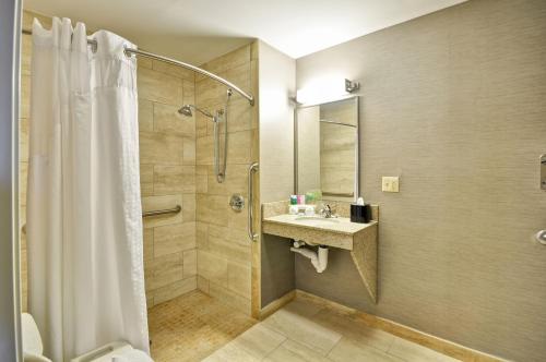 Holiday Inn Express Romulus / Detroit Airport, an IHG Hotel tesisinde bir banyo