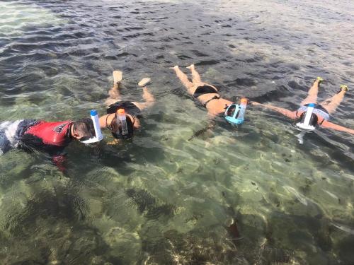 Landskap semula jadi dekat dengan homestay