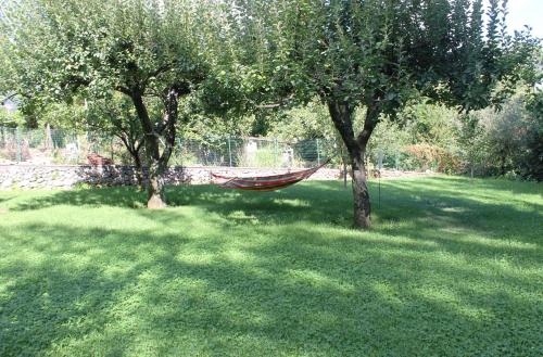 a hammock between two trees in a yard at Casa Marilì in Pianillo