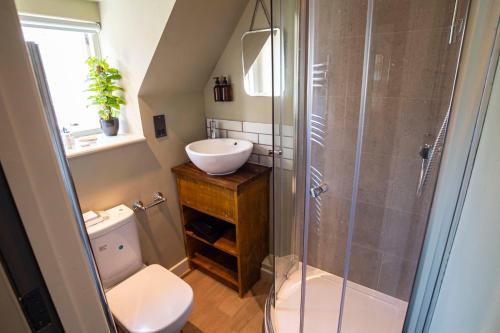 a bathroom with a shower and a sink and a toilet at Kings Arms Hotel in Stansted Mountfitchet