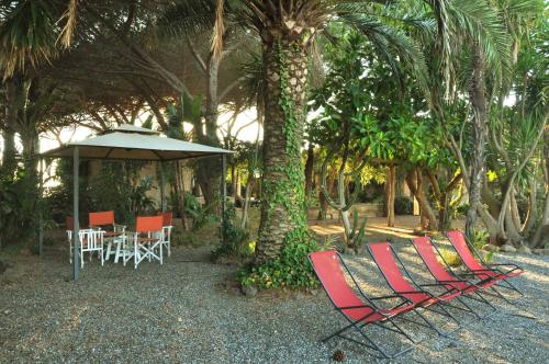 a group of chairs and a table and a tree at Le Mànnare Case Vacanze di Metopa srl in Piano Conte