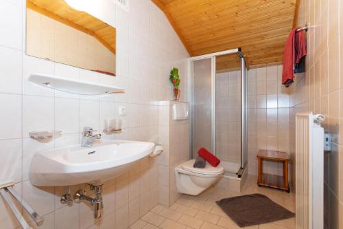 W łazience znajduje się umywalka, toaleta i prysznic. w obiekcie Appartements Wagnerhaus w mieście Maria Alm am Steinernen Meer