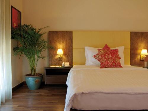 a hotel room with a bed and a plant at Mövenpick Resort & Residences Aqaba in Aqaba