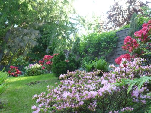 a garden with pink flowers in the grass at Willa U Jerzego in Karpacz