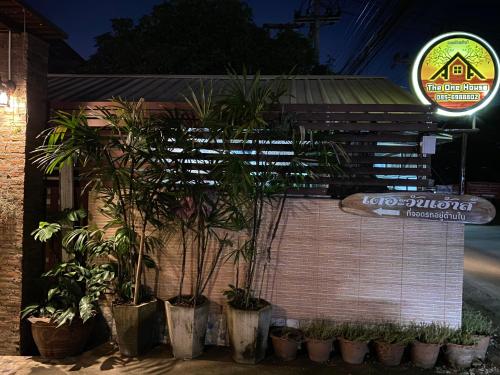 a group of potted plants in front of a building at The One House in Nan