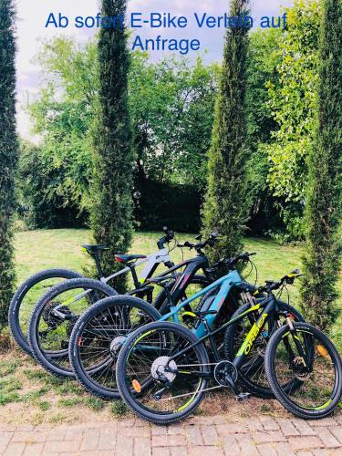 a group of bikes parked next to each other at Stadtvilla mit Pool in Jestetten