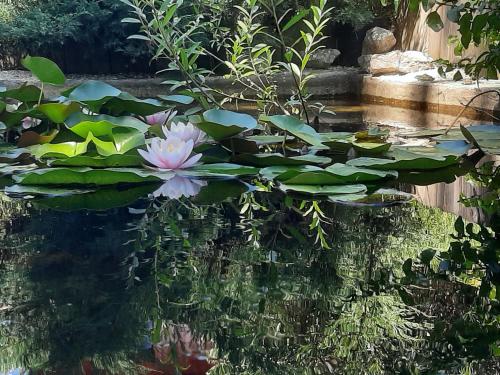 Le Clos du Bois Joli – Photos 2