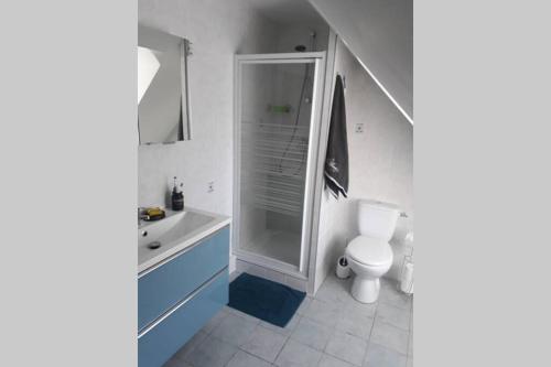 een badkamer met een douche, een toilet en een wastafel bij Au Dom-icile in Monceaux-en-Bessin