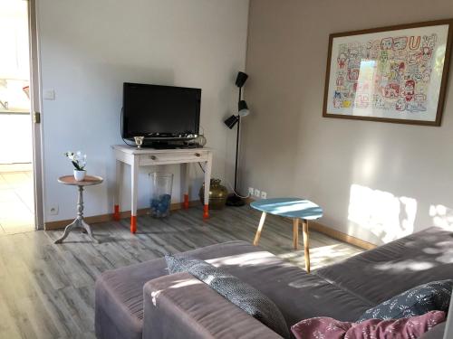 a living room with a couch and a flat screen tv at La Maison des Artistes in Auxerre