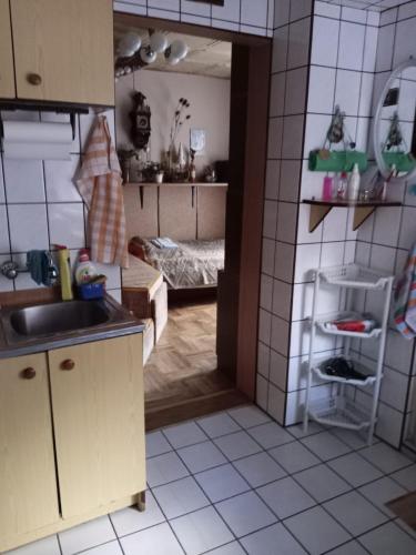 a kitchen with a sink and a room with a bed at Pawi Ogon in Sokołowsko
