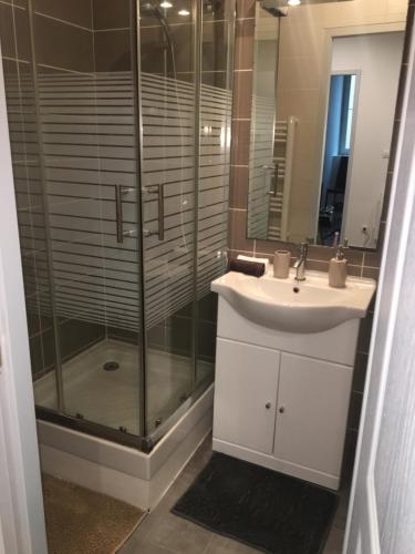 ラ・トゥール・デュ・パンにあるAppartement la Gareの洗面台とガラスのシャワーを備えたバスルーム